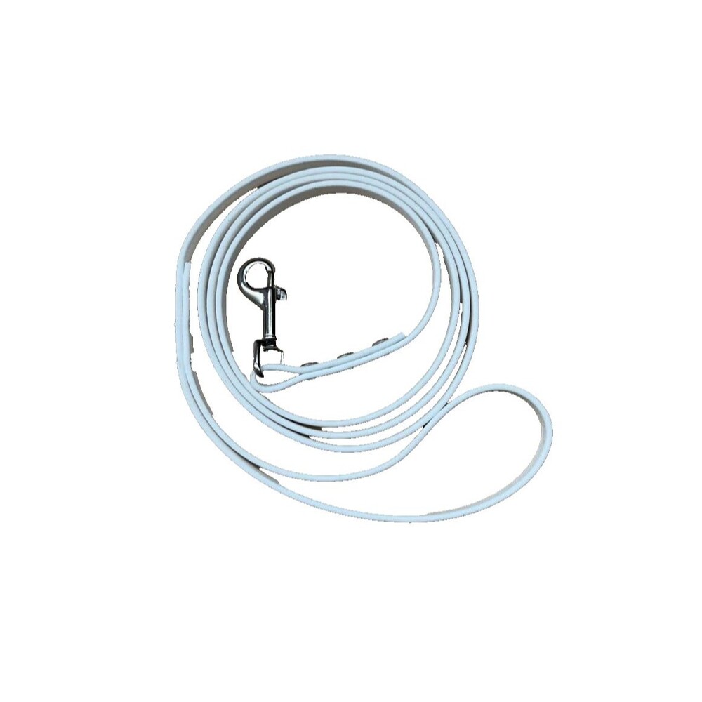 4.5’ Biothane Dog Leash - 3/8" width - waterproof, stink proof Mini Snap USA